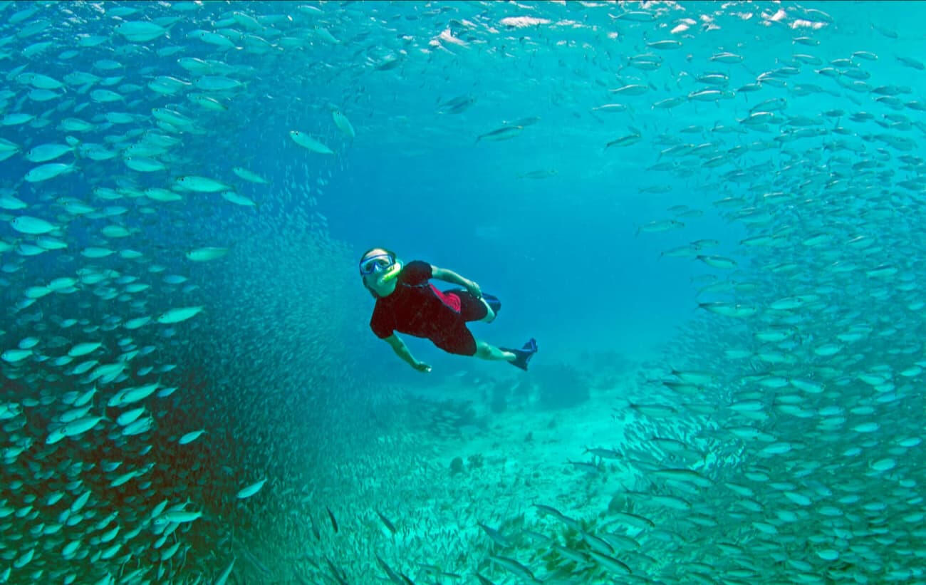 The Bellafonte Bonaire Hotel | Diving & Snorkelling